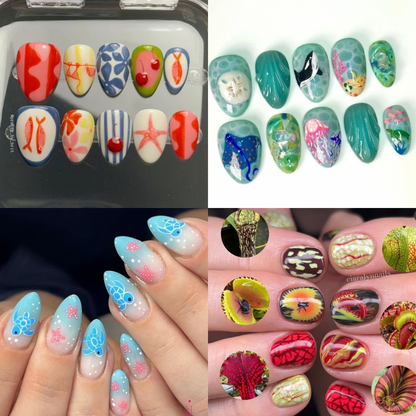 Press On Nails Surprise (version Summer)